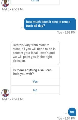 Chat transcript with a virtual assistant on the Lowe's website.