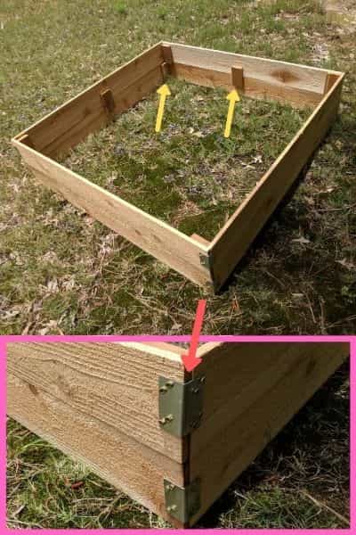 The frame of the raised garden bed was made using cedar fence pickets joined by galvanized angles, thicker cedar boards, and deck screws.